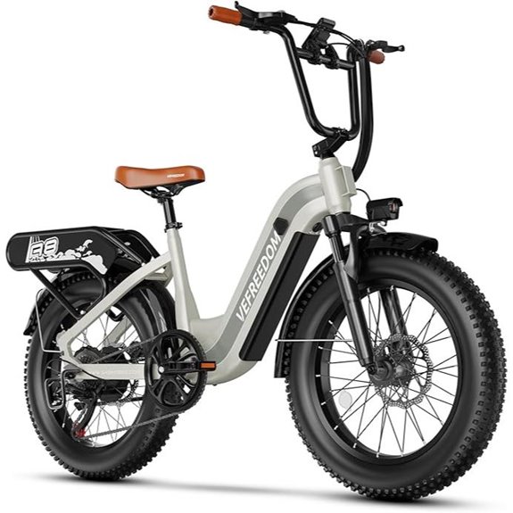 Electric Bike 1500W 80 Miles 30MPH Fat Tire Mountain E-Bike