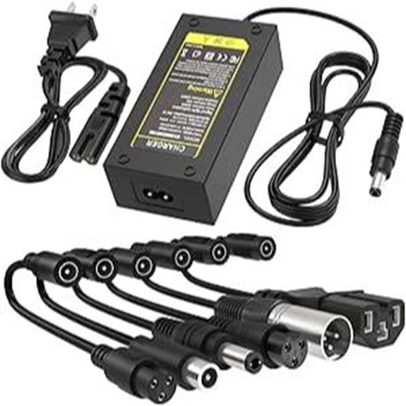 42V 2A Universal Charger for 36V Lithium Batteries