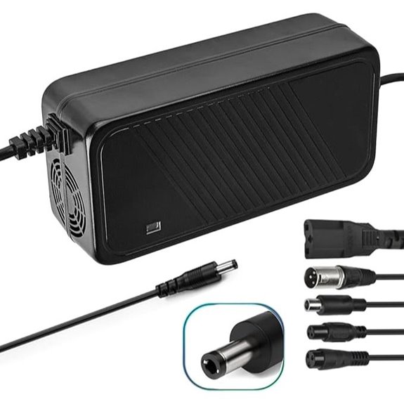 42V 2A Electric Bike Charger with Safety Features