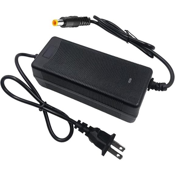 48V Electric Bike Charger for Lithium Battery