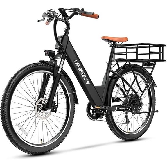 Electric Adult Electric Bike with Removable Battery