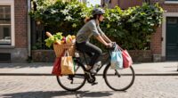 bike grocery weight balance