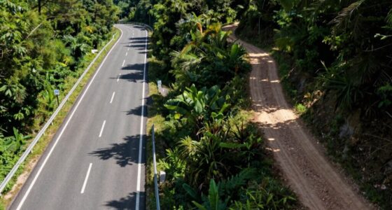 dual pathways for safety