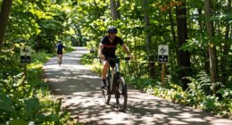 e bike laws in michigan