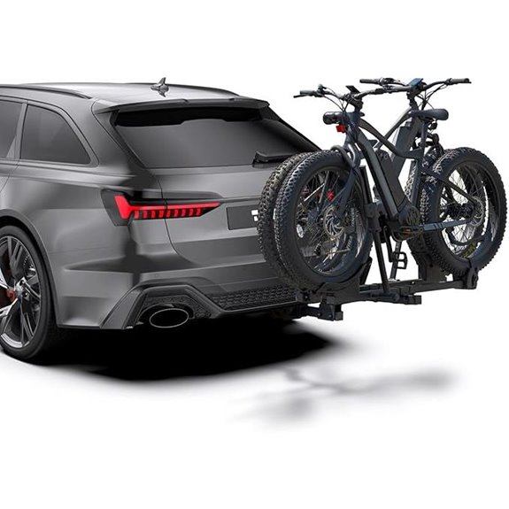 ebike and fat tire carrier