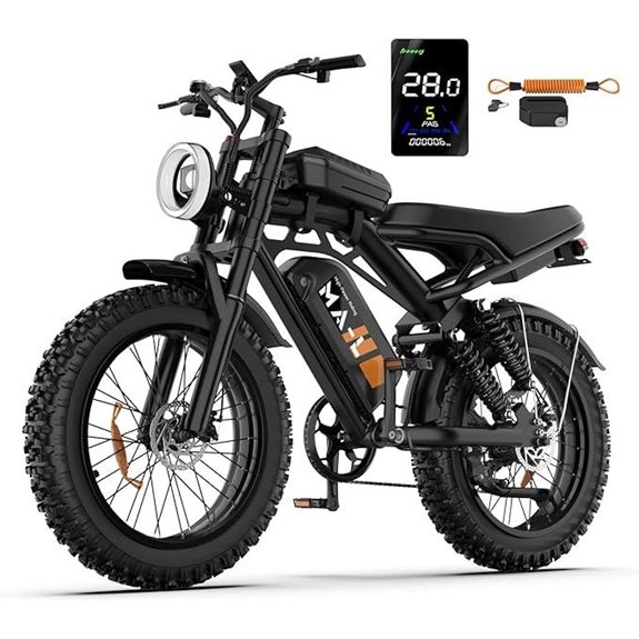 Electric Fat Tire E-Bike for Adults with Removable Battery