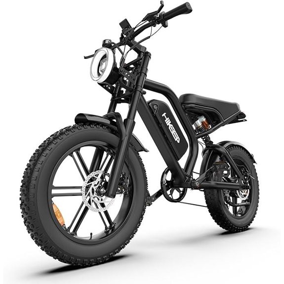 electric fat tire bike