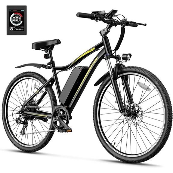 Heybike Electric Mountain Bike with Removable Battery