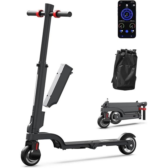 HX X6/X8/X9 Electric Scooter with Removable Battery