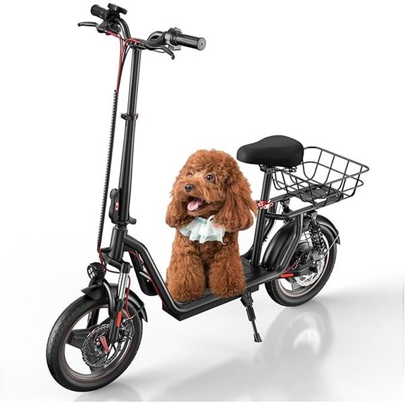 iScooter Electric Scooter with Seat and Long Range