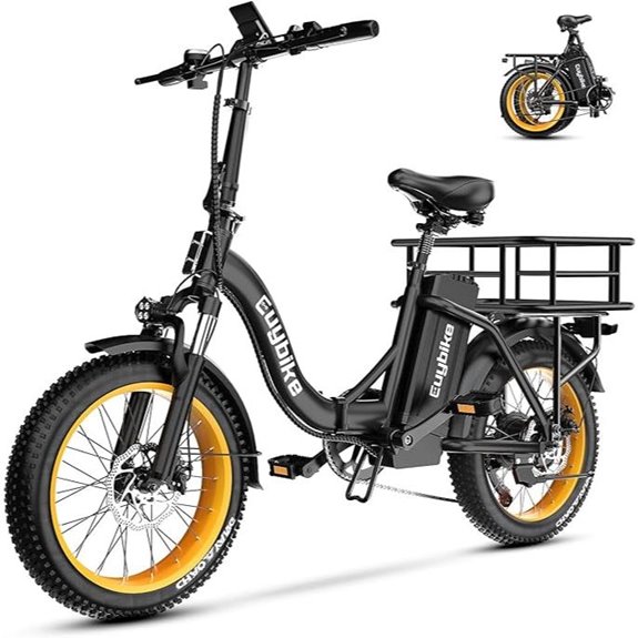 Folding Electric Bike with 1000W Motor and Fat Tires