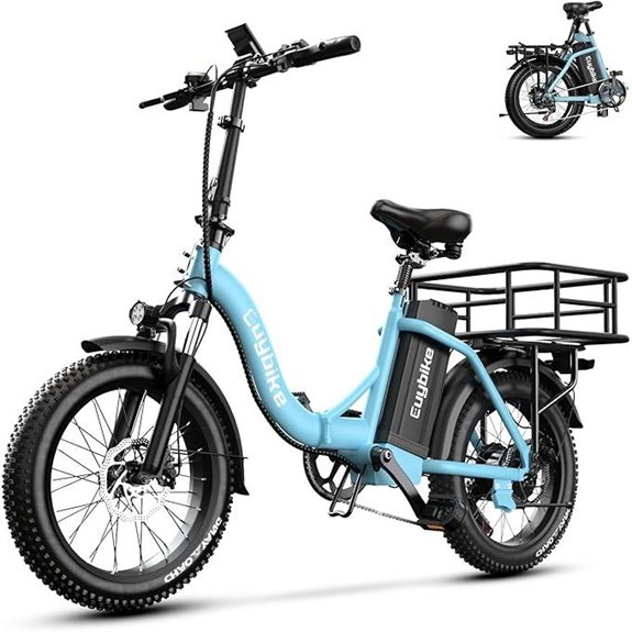 Folding Electric Bike with 1000W Motor and Fat Tires
