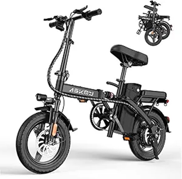 Foldable Electric Bike with 750W Motor and Removable Battery