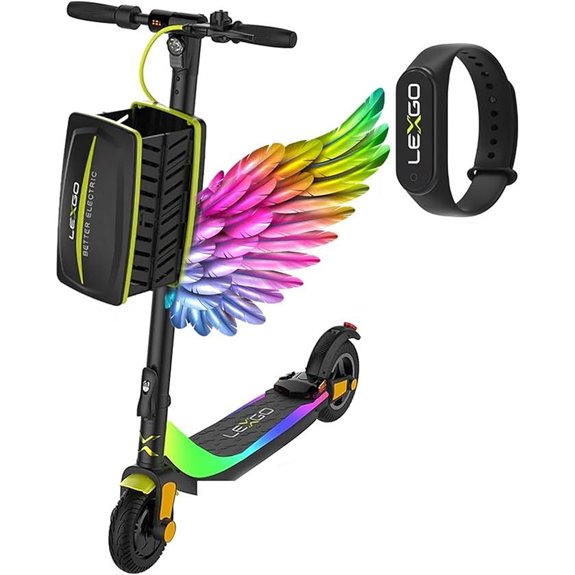 Foldable Electric Scooter with Powerful Motors