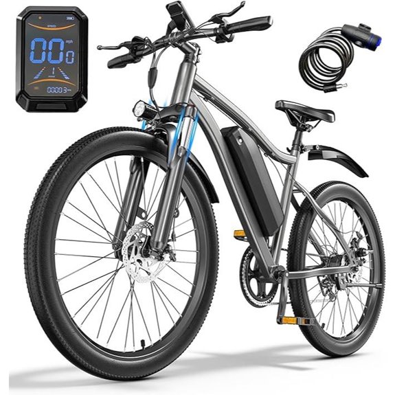 Heavy-Duty Foldable Electric Bike with 740W Motor