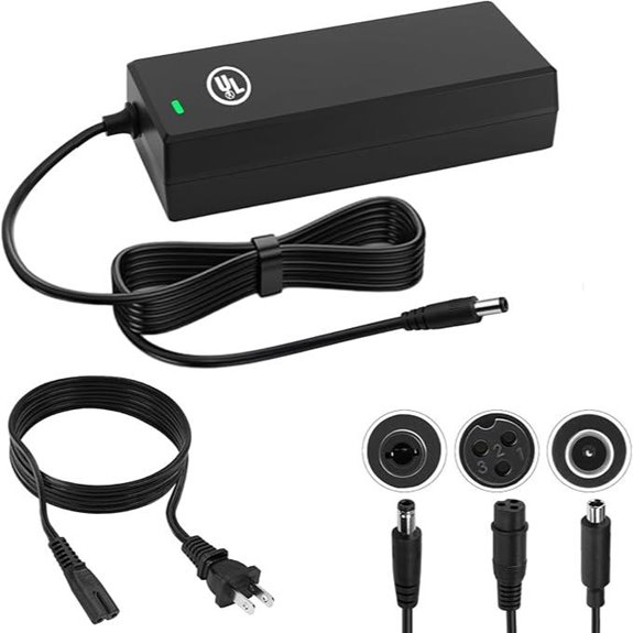 Hyleton 54.6V 2A Electric Bike Battery Charger