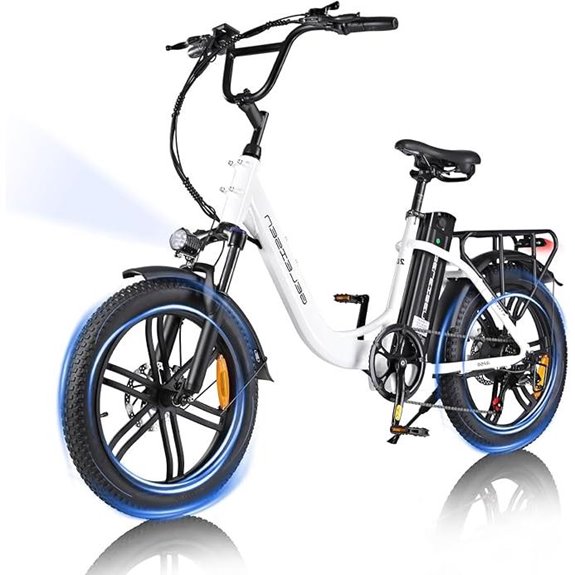 Electric Bike for Adults 1000W 65 Miles Fat Tire Ebike