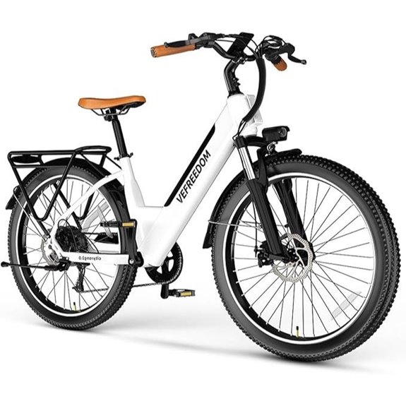 26 1000W Electric Bike with Removable Battery