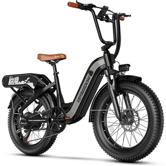 1500W Electric Bike with Fat Tires and Removable Battery