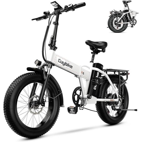 1000W Folding Electric Bike with Removable Battery
