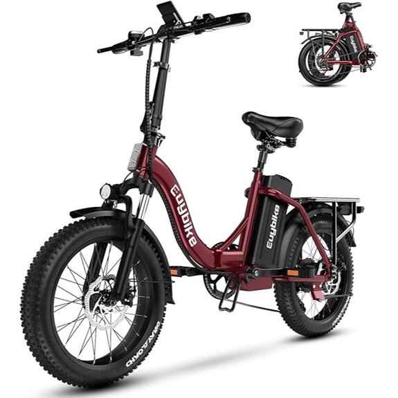 1000W Folding Electric Bike with Removable Battery