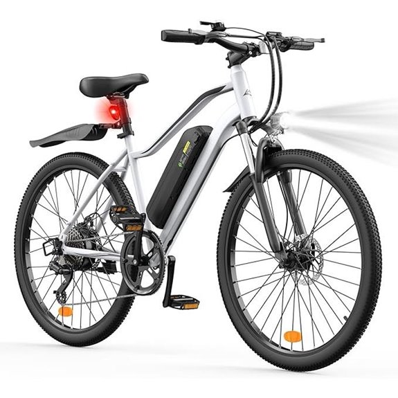 Electric E-Bike 1000W/750W/500W Removable Battery