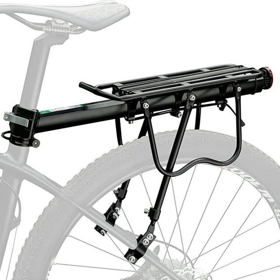 ROCKBROS Quick Release Rear Bike Cargo Rack