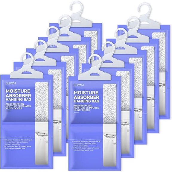 CLEVAST Moisture Absorbers Packets (10-Pack)