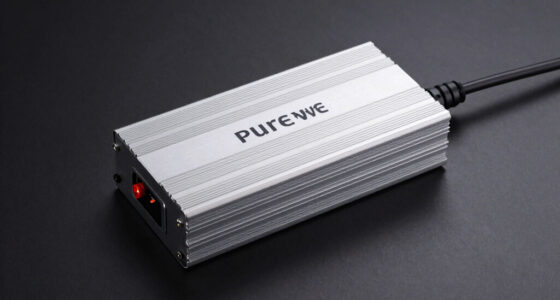12 Best Pure Sine Wave Inverter for E-Bike Charging in 2026