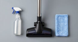 9 Best Wet Dry Vacuum for Bike Cleaning in 2026