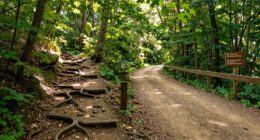 balancing speed and safety