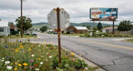 local rules over riders