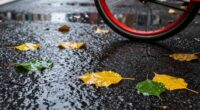 wet leaves cause accidents