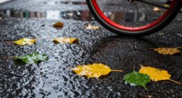 wet leaves cause accidents