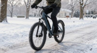 14 Best Electric Bike Winter Tires in 2026
