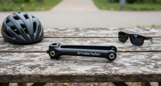 Brake Hafen
